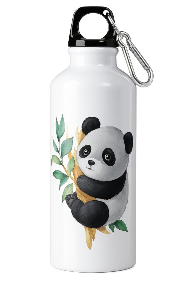 Printed Aluminium Water Bottle